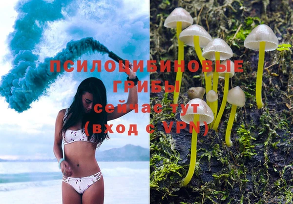 альфа пвп Белокуриха